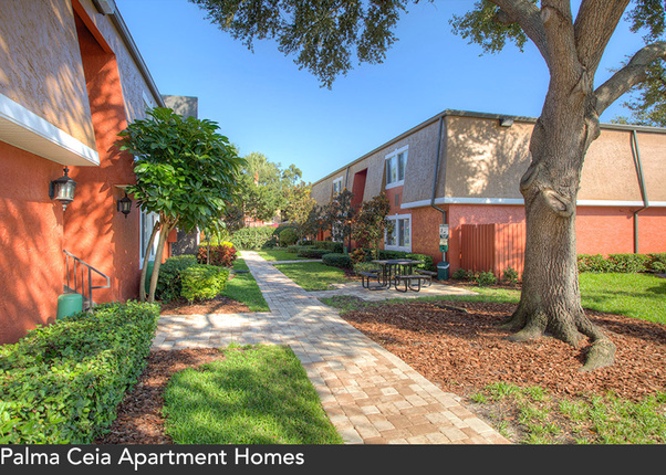 palma ceia studio 2 bed apts in tampa pool included mckinley
